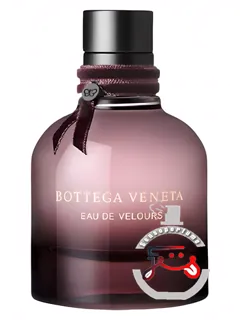 بوتگا ونتا او د ولور بوتگا ونتا | bottega veneta eau de velours bottega veneta