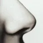 استینکی سالی