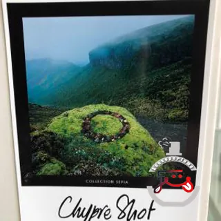 Chypre Shot Olfactive Studio