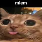 Ebichuunee