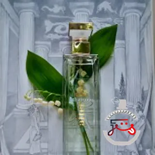 5th Avenue After Five Elizabeth Arden