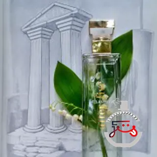 5th Avenue After Five Elizabeth Arden