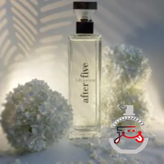 5th Avenue After Five Elizabeth Arden