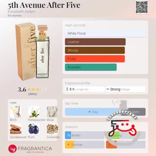 5th Avenue After Five Elizabeth Arden