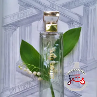5th Avenue After Five Elizabeth Arden