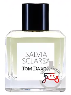 سالویا اسکلاریا تام داکسون | salvia sclarea tom daxon