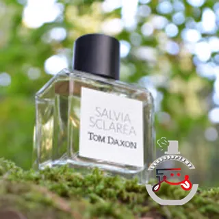 Salvia Sclarea Tom Daxon