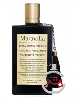 مانیولیا مزون دو آمالریک | magnolia maison de amalric