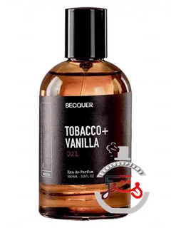 توباکو پ拉斯 وانیلا بکر | tobacco + vanilla becquer