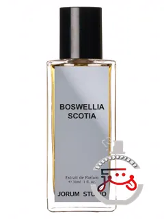 باسولیا اسکاتیا جورام استودیو | boswellia scotia jorum studio