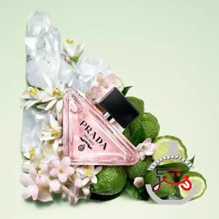 Prada Paradoxe Virtual Flower Prada