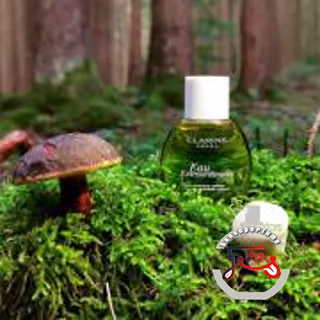 Eau Extraordinaire Clarins