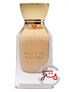 فلور دو سوکوترا فنوم | fleur de socotra phenom