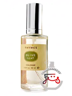 اولیو لیف تایمز | olive leaf thymes