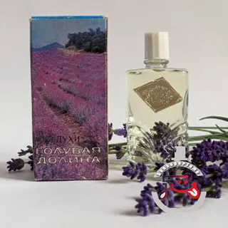 Голубая долина (Blue valley) Crimean rose – Крымская роза