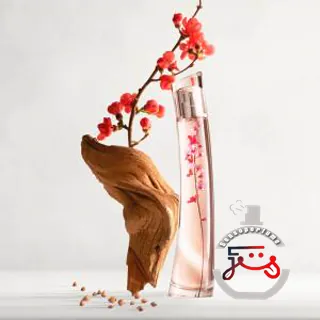 Flower Ikebana Kenzo