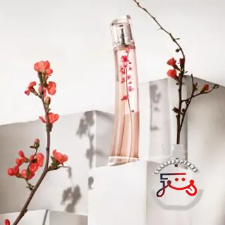 Flower Ikebana Kenzo
