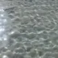 غذاءالبغدادی