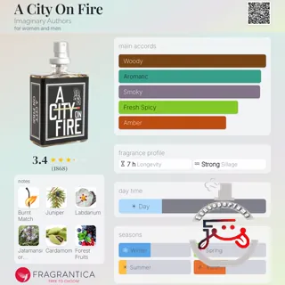 A City On Fire Imaginary Authors
