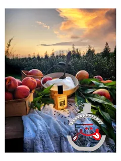 آیسد نکتار سالستیس سنتس | iced nectar solstice scents
