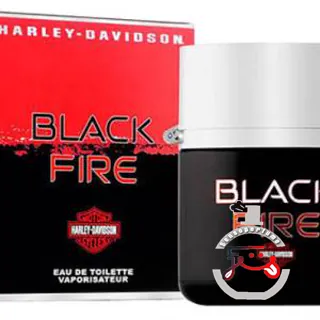 Black Fire Harley Davidson