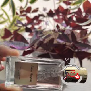 Saint Honoré Nicolai Parfumeur Createur