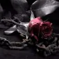 لیلا مایک