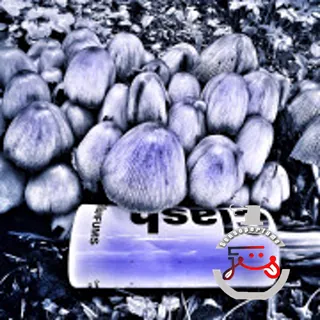 Radish Vetiver Comme des Garcons