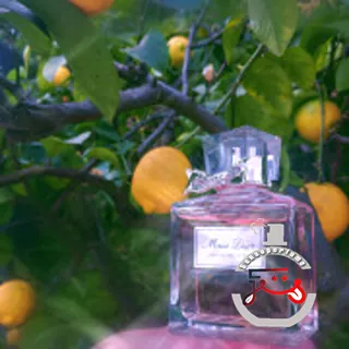 Miss Dior Eau de Toilette 2019 Dior