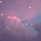 LuluBear