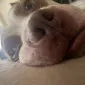 LizDee007