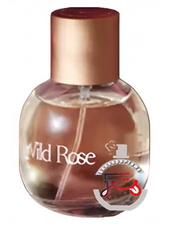 وایلد رز بورن پرفیومری | wild rose burren perfumery
