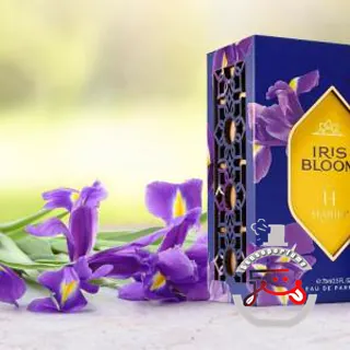 Iris Bloom Habibi NY