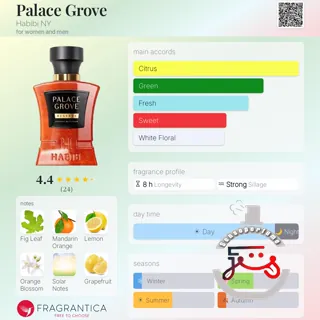 Palace Grove Habibi NY
