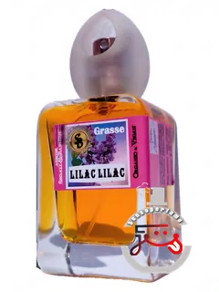 لیلاک لیلاک آتلیه سگال و باروتی | lilac lilac atelier segall & barutti