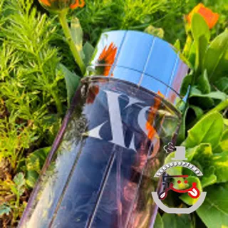 XS (2018) Rabanne
