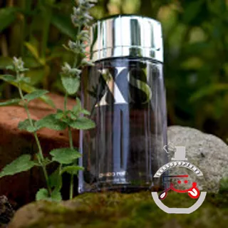 XS (2018) Rabanne