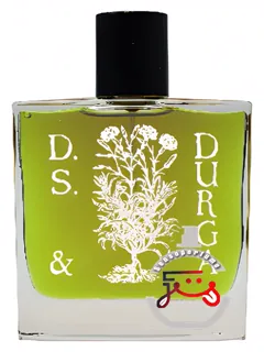 باستن آیوی دی‌اس اند دورگا | boston ivy ds&durga