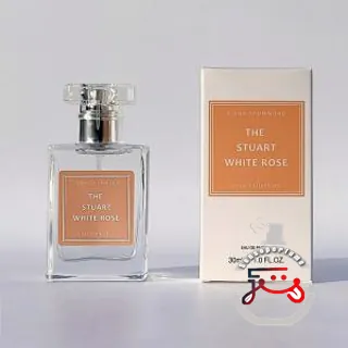 The Stuart White Rose Diana Drummond
