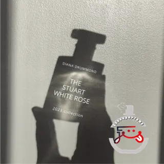 The Stuart White Rose Diana Drummond