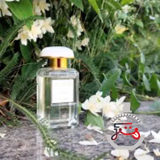 Ikat Jasmine Aerin