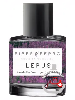 لپوس پایپر اند پرو | lepus piper & perro
