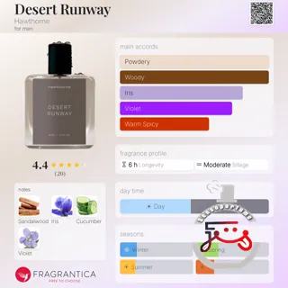 Desert Runway Hawthorne