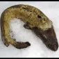 فیسکن بیست‌وسه