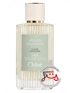 ایلنگ کانانگا کلوی | ylang cananga chloé