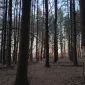 dustyspectacles