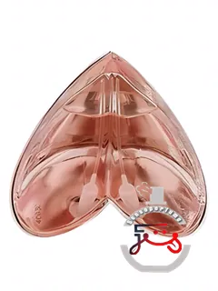 کینگدام لیمیتد ادیشن الکساندر مک‌کوئین | kingdom limited edition alexander mcqueen