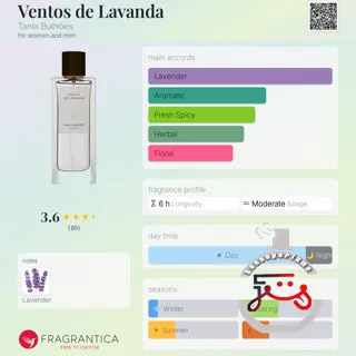 Ventos de Lavanda Tania Bulhões