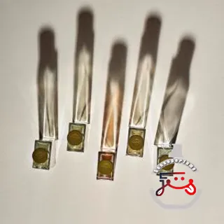 Ventos de Lavanda Tania Bulhões