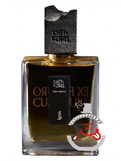 ایگنیس کوم کورا | ignis cum cura